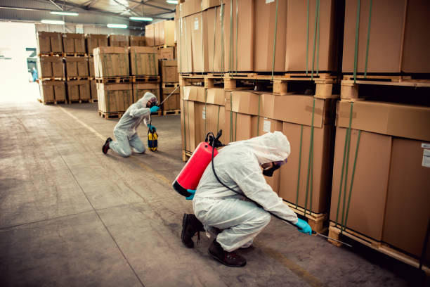 Best Pest Prevention Services  in Walnut Creek, CA