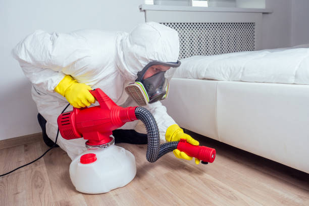 Professional Pest Control in Walnut Creek, CA