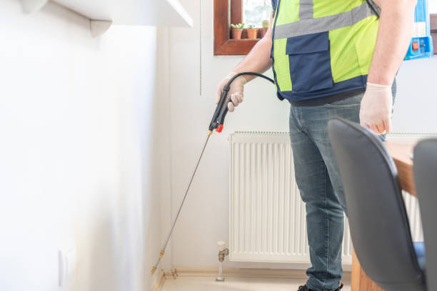 Best Ant Control Services  in Walnut Creek, CA