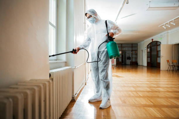 Best Best Pest Control Companies  in Walnut Creek, CA