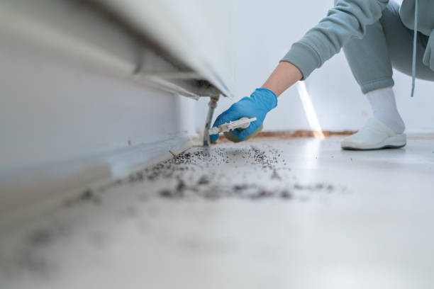 Best Bird Control  in Walnut Creek, CA